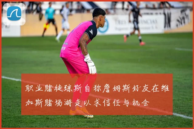 职业赌徒琼斯自称詹姆斯好友在维加斯赌场游走以求信任与机会