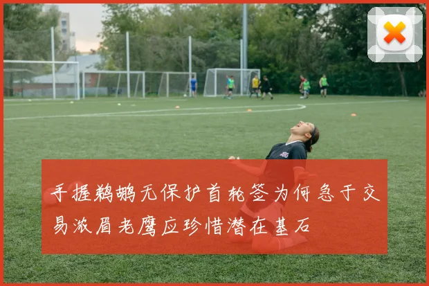 手握鹈鹕无保护首轮签为何急于交易浓眉老鹰应珍惜潜在基石