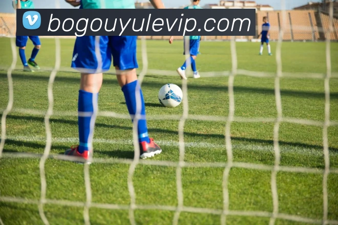 博狗娱乐服务体系